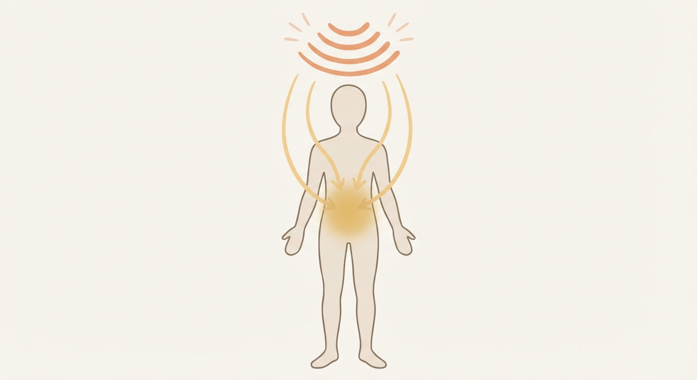 Diagram showing cortisol routing fat specifically to the abdominal region